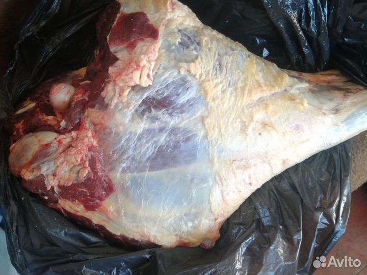 Говядина, свежак, забой 7,ноября