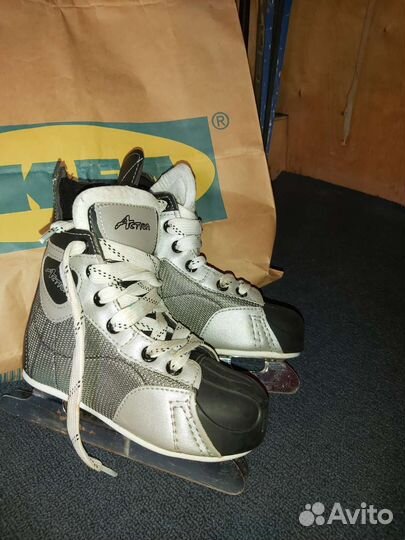 Коньки на 2 лезвиях