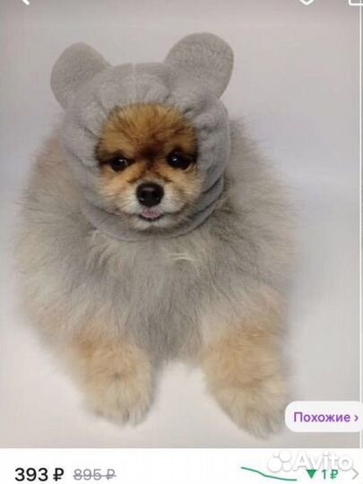 Шапка для собаки