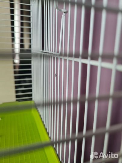 Клетка для грызунов ferplast, колесо