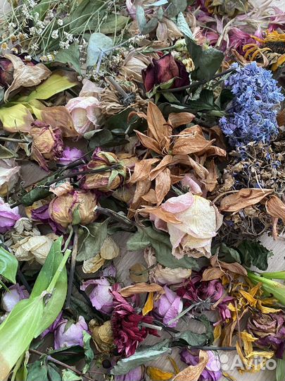 Сушеные цветы