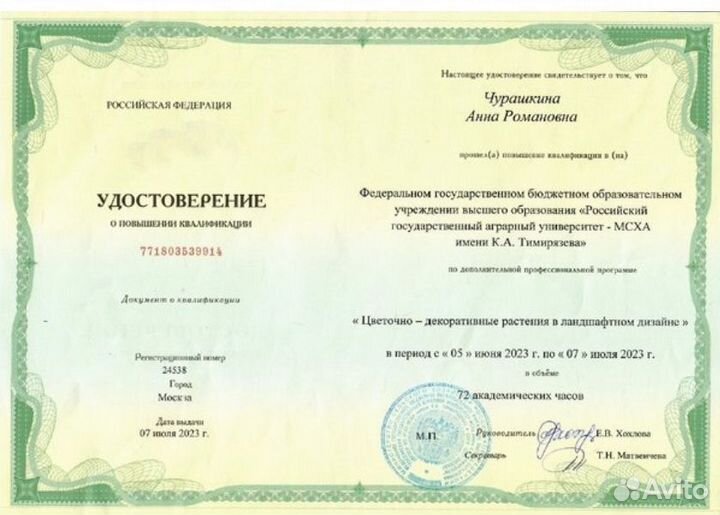 Тендерный специалист (со стороны исполнителя)