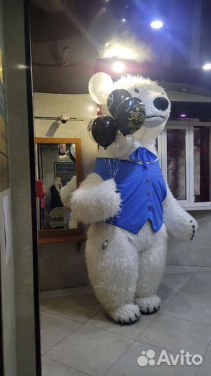 Ростовой медведь Панорамыч на Любой твой праздник