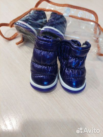 Ботинки для маленьких собак