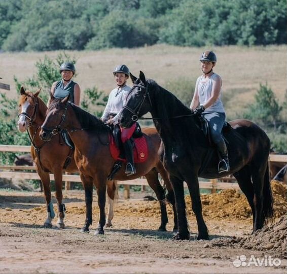 Конные прогулки