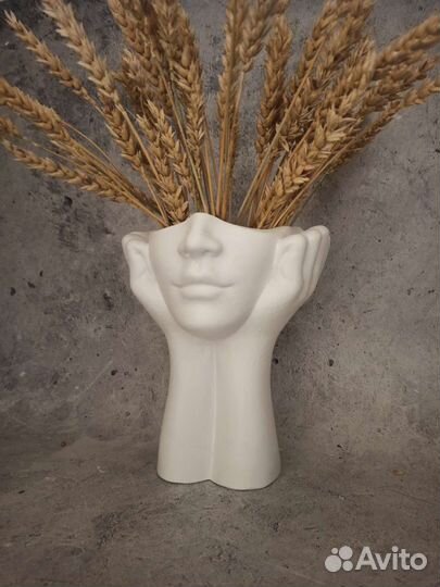 Медуза Горгона и мудрость