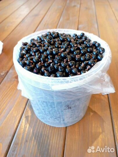 Черная смородина ягода свежая