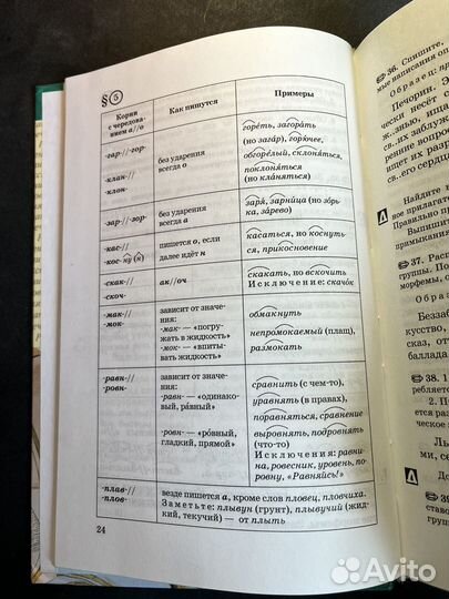 Русский язык 9 класс 2010 М.Разумовская