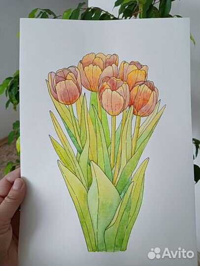 Акварельный рисунок. Цветы. Живопись