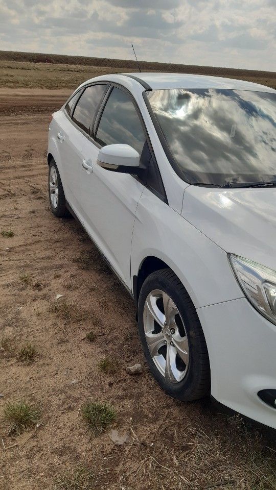Ford Focus: фото владельца