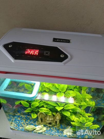 Аквариум и рыбки