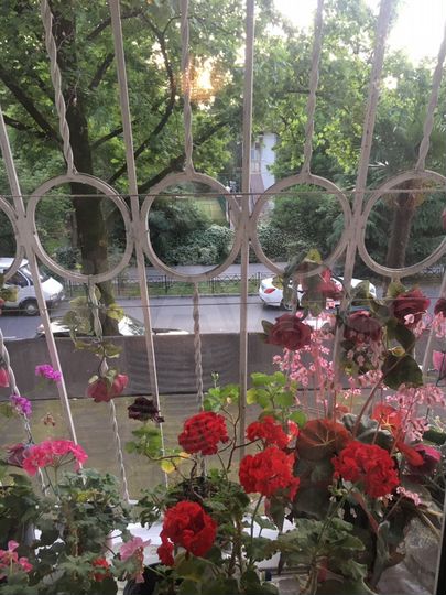 Комната 20 м² в 3-к., 2/5 эт.