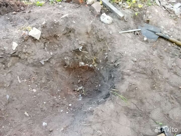 Помощь в саду