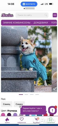 Комбинезон для собаки корги