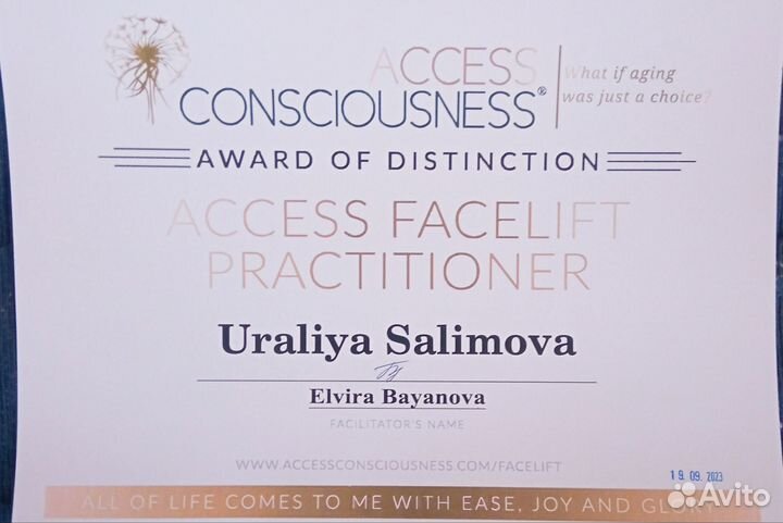 Аксесс Фейслифт, Аксесс барс, мтвсс