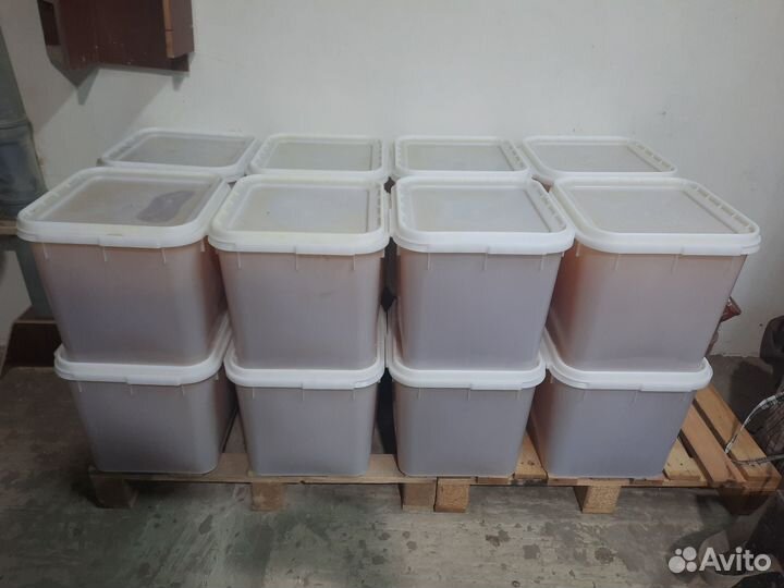 Продам мед оптом