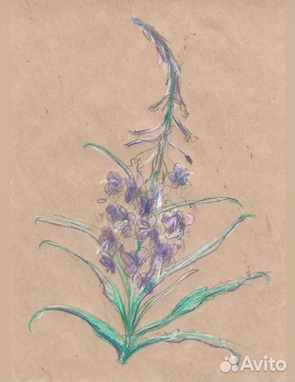 Рисунки на заказ / арт / портреты