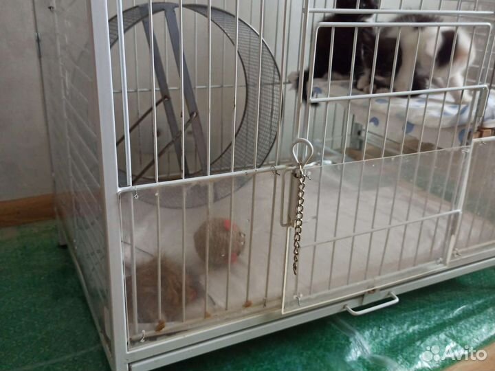Клетка для хорька, шиншиллы, дегу