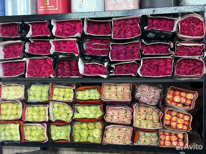 Розы со склада