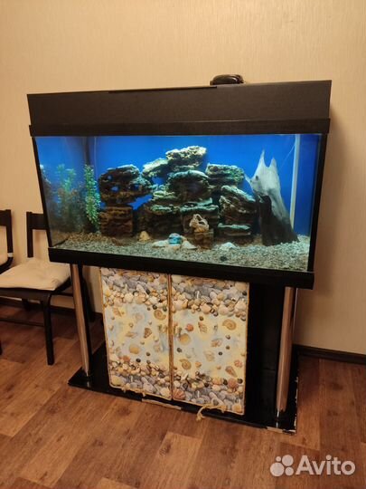 Аквариум