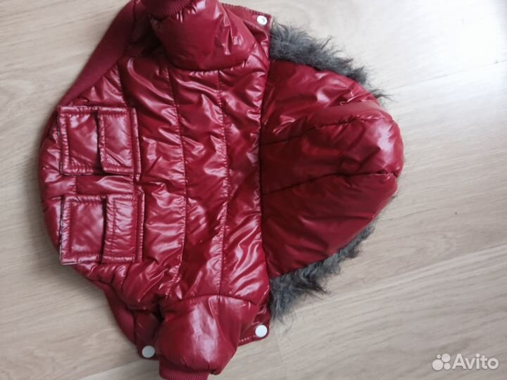 Одежда для маленьких собак s