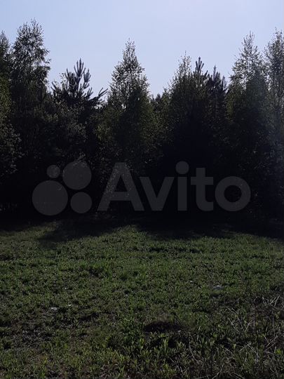 Участок 5,6 га (СНТ, ДНП)