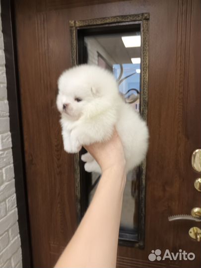 Мальчик пом