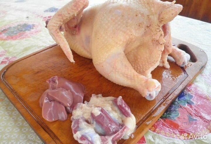 Мясо домашнего бройлера