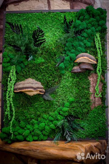 Панно со стабилизированным мхом