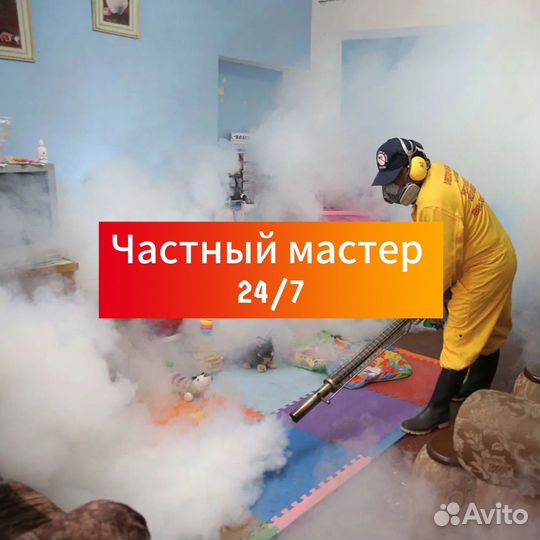 Уничтожение насекомых тараканов клопов