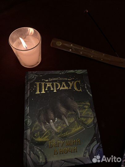 Книга Евгений Гаглоев Пардус Бегущий в ночи