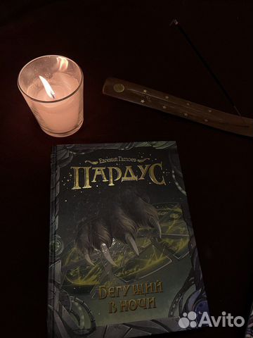 Книга Евгений Гаглоев Пардус Бегущий в ночи