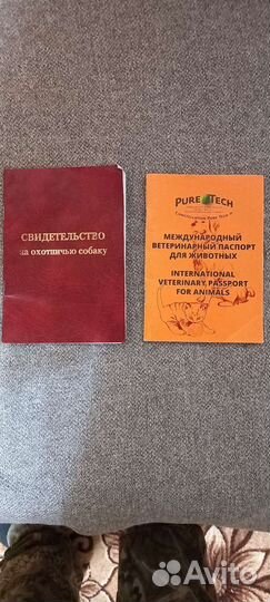 Курцхаар вязка