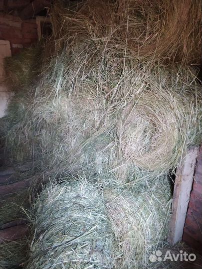 Разнотравье