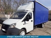 Картинки и фото газель