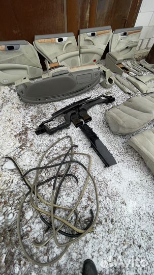 Салон cedric y34