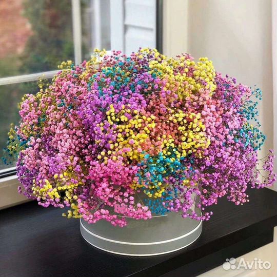 Гипсофила в большой цветы букеты доставка спб