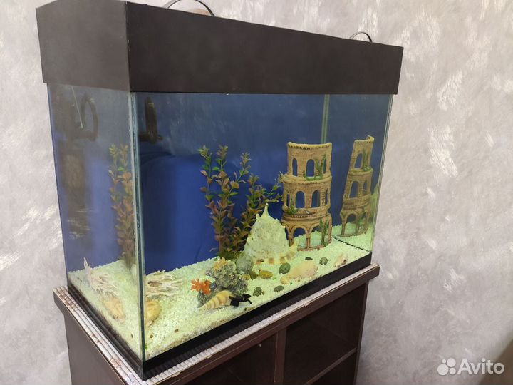 Аквариум 165 литров
