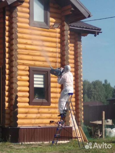 Уничтожение тараканов и клопов