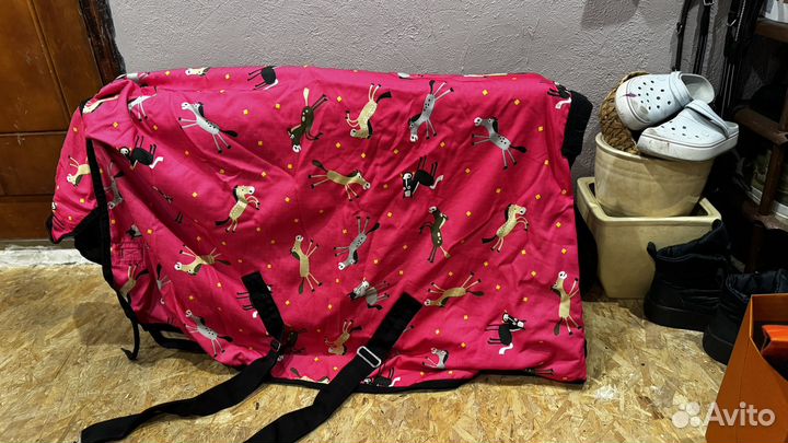 Попона для пони