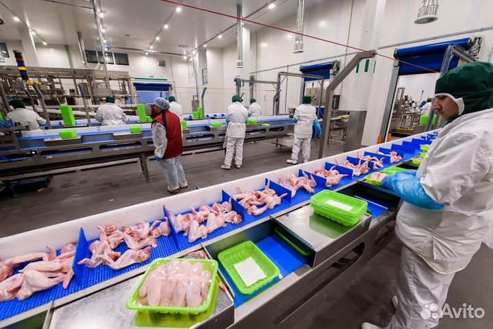 Самарская область фасовщик на птицефабрику