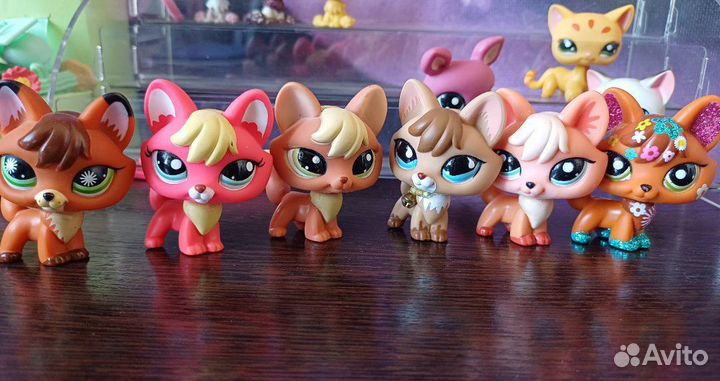 Лпс стоячка гималайки лисы