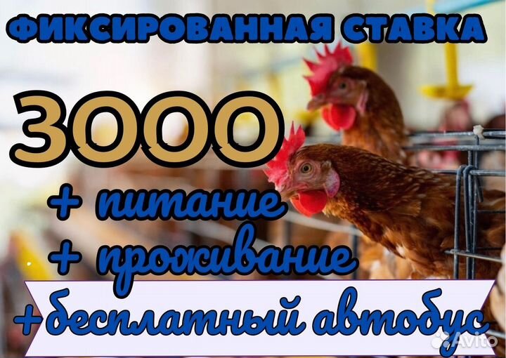 Грузчики на фабрику. Работа с бесплатным проездом