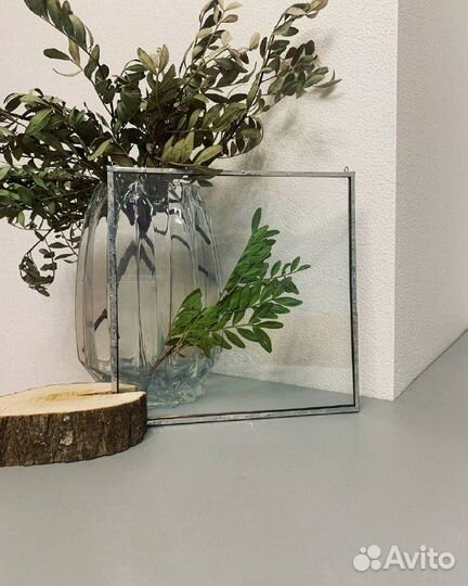 Гербарий в стекле