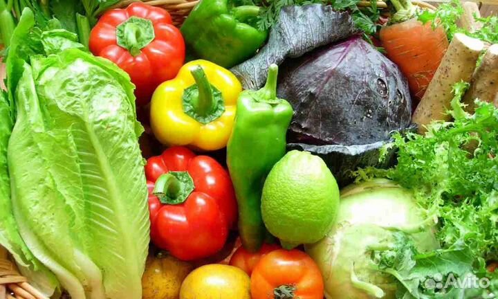 Сборщик овощей вахтой г.Воронеж без опыта