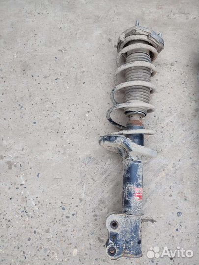 Стойка амортизатора задняя правая Haima 3