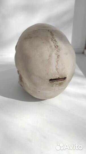 Череп Копилка