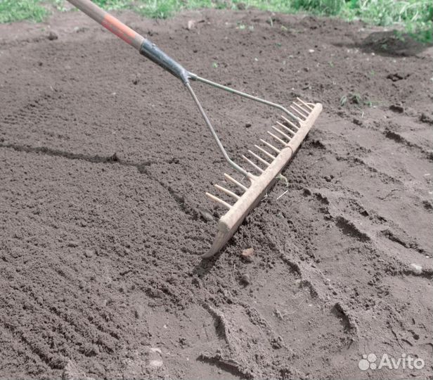Земля газонная