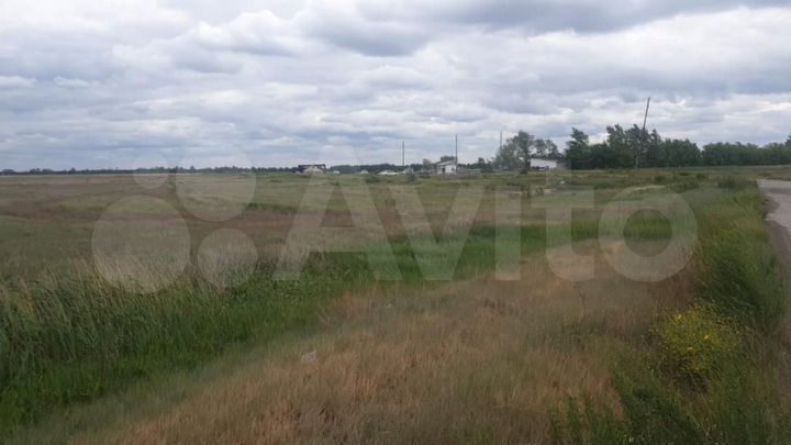 Участок 30,5 сот. (промназначения)