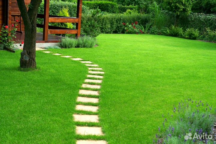 Газонная трава в рулонах от производителя
